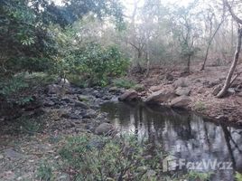  Terreno (Parcela) en venta en Guanacaste, Bagaces, Guanacaste