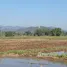  Terrain for sale in San Sai, Chiang Mai, Nong Yaeng, San Sai