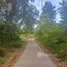 ขายที่ดิน ใน ลิปะน้อย, สุราษฎร์ธานี, ลิปะน้อย