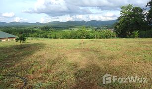 N/A Land for sale in Na Din Dam, Loei 