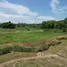  Land for sale in Huai Sai, Chiang Mai, Huai Sai