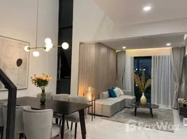 3 Habitación Departamento en alquiler en Feliz En Vista, Thanh My Loi, District 2