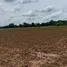 ขายที่ดิน ใน เขาดินพัฒนา, สระบุรี, เขาดินพัฒนา, เฉลิมพระเกียรติ, สระบุรี, ไทย