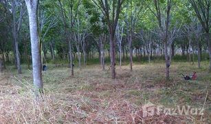 N/A Land for sale in Bueng Ba, Pathum Thani 