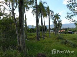  Land for sale in Nova Hartz, Rio Grande do Sul, Nova Hartz, Nova Hartz