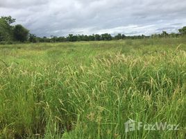  Terreno (Parcela) en venta en Chiang Rai, Rop Wiang, Mueang Chiang Rai, Chiang Rai