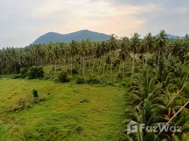  Terreno (Parcela) en venta en Bang Saphan, Prachuap Khiri Khan, Thong Chai, Bang Saphan