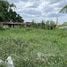  Land for sale in Lam Luk Ka Pathum Thani, Khu Khot, Lam Luk Ka, Pathum Thani