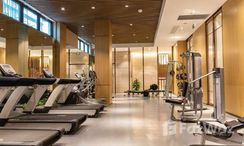 Фото 2 of the Communal Gym at Samana Waves Apartment 