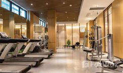 图片 2 of the Communal Gym at Samana Waves Apartment 