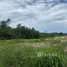  Земельный участок for sale in Nong Sarai, Накхон Ратчасима, Nong Sarai, Pak Chong, Накхон Ратчасима
