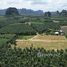  Land for sale at Prime Land for Sale in Nong Thale Krabi, Nong Thale