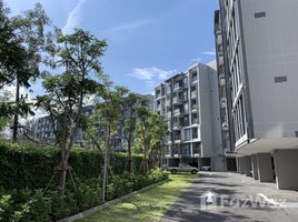 1 Bedroom Apartment for sale in Choeng Thale, Phuket Cassia Residence Phuket