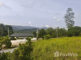 ขายที่ดิน ใน บ่อผุด, สุราษฎร์ธานี, บ่อผุด