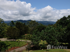 Puntarenas Peaceful Fertile Land in Quepos/Aguirre for Sale by Owner N/A 土地 售 
