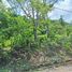  Terreno (Parcela) en venta en Costa Rica, Puntarenas, Puntarenas, Costa Rica