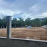  Land for sale in Khanom, Nakhon Si Thammarat, Khanom