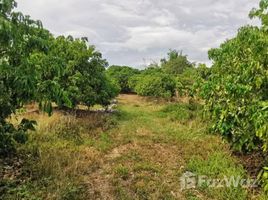  Terrain for sale in Chiang Mai, Thung Tom, San Pa Tong, Chiang Mai