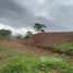  Land for sale in Jimenez Cartago, Jimenez, Cartago