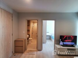 2 Bedroom Condo for rent at Nue Noble Srinakarin - Lasalle, Samrong Nuea, Mueang Samut Prakan
