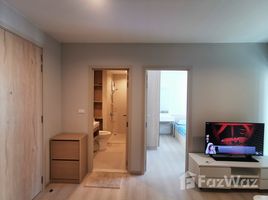 2 Bedroom Condo for rent at Nue Noble Srinakarin - Lasalle, Samrong Nuea