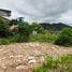  Land for sale in Phuket, Si Sunthon, Thalang, Phuket