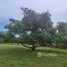  Land for sale in Sam Roi Yot, Hua Hin, Sam Roi Yot
