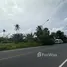  Grundstück zu verkaufen in Thalang, Phuket, Mai Khao