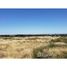  Land for sale in Argentina, Patagones, Buenos Aires, Argentina