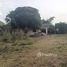  Land for sale in Phichit, Tha Sao, Pho Thale, Phichit