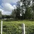  Terreno (Parcela) en venta en Si Sunthon, Phuket, Si Sunthon, Thalang, Phuket, Tailandia