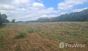 N/A Land for sale in Tha Khlo, Saraburi 