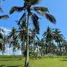  Land for sale in Bali, Pekutatan, Jembrana, Bali