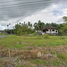  Terrain for sale in Nakhon Si Thammarat, Thi Wang, Thung Song, Nakhon Si Thammarat