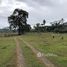  Terrain for sale in Limon, Siquirres, Limon