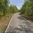  Land for sale in Thoen Lampang, Na Pong, Thoen, Lampang