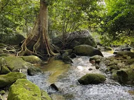 ขายที่ดิน ใน อ่างทอง, สุราษฎร์ธานี, อ่างทอง