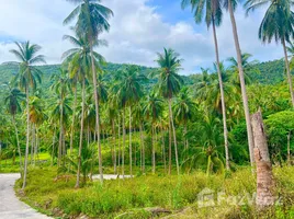  Land for sale in Taling Ngam, Surat Thani, Taling Ngam, Koh Samui