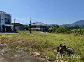 ขายที่ดิน ใน กะทู้, ภูเก็ต, กะทู้, กะทู้, ภูเก็ต
