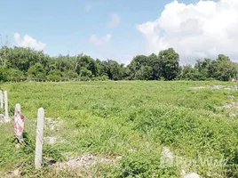 ขายที่ดิน ใน เชิงทะเล, ภูเก็ต, เชิงทะเล
