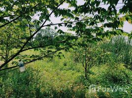  Terrain for sale in Bang Kruai, Nonthaburi, Bang Khu Wiang, Bang Kruai