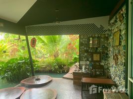  Земельный участок for sale in San Mahaphon, Mae Taeng, San Mahaphon