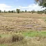  Land for sale in Nong Phluang, Nakhon Ratchasima, Nong Phluang, Prathai