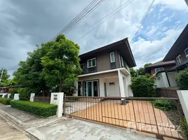 4 Bedroom House for rent at Burasiri San Phi Suea, San Phisuea