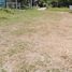 N/A Land for sale in Nong Rawiang, Nakhon Ratchasima 366 SQW Land for Sale in Korat