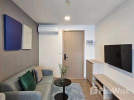 1 Schlafzimmer Appartement zu vermieten im THE BASE Bukit, Wichit, Phuket Town, Phuket