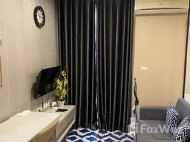 1 Bedroom Apartment for rent at Zcape I, Choeng Thale, Thalang, Phuket, Thailand