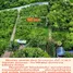  Land for sale in Khao Phra, Nakhon Nayok, Khao Phra, Mueang Nakhon Nayok, Nakhon Nayok