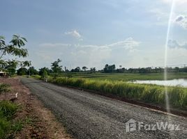 在苏林出售的 土地, Salak Dai, Mueang Surin, 苏林