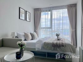 อพาร์ทเม้นท์ 1 ห้องนอน ให้เช่า ในโครงการ แอทโมซ โอเอซิส อ่อนนุช, สวนหลวง, สวนหลวง